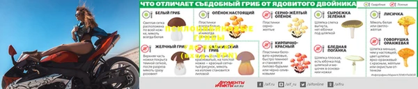не бодяженный Пересвет