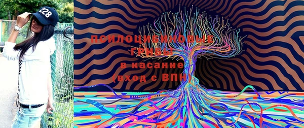 ешки Пестово