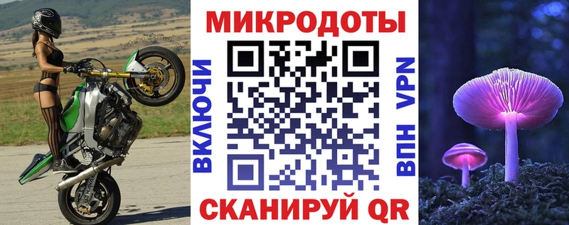 Псилоцибиновые грибы Psilocybe  мега зеркало  Светлогорск  наркота 